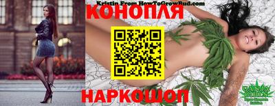 стафф Обнинск
