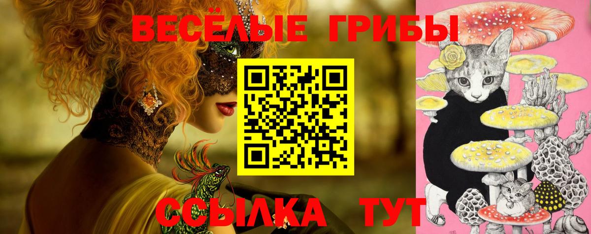 Серов  магазин продажи наркотиков  Вход с VPN  Галлюциногенные грибы прущие грибы  Псилоцибиновые грибы GOLDEN TEACHER 