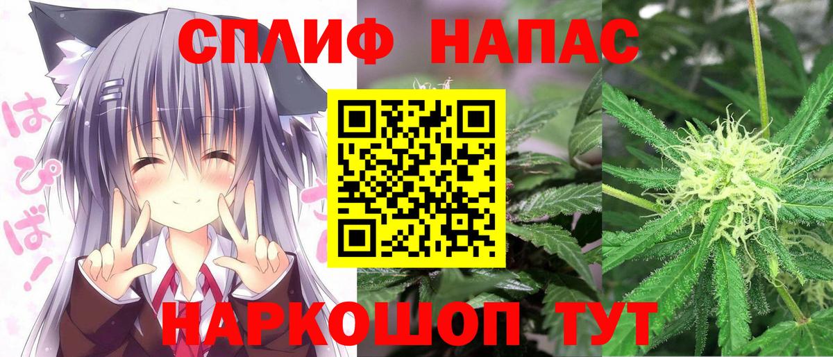 Каннабис ГИДРОПОН  Шишки марихуана SATIVA & INDICA  Вход с VPN  Серов  Каннабис сатива 